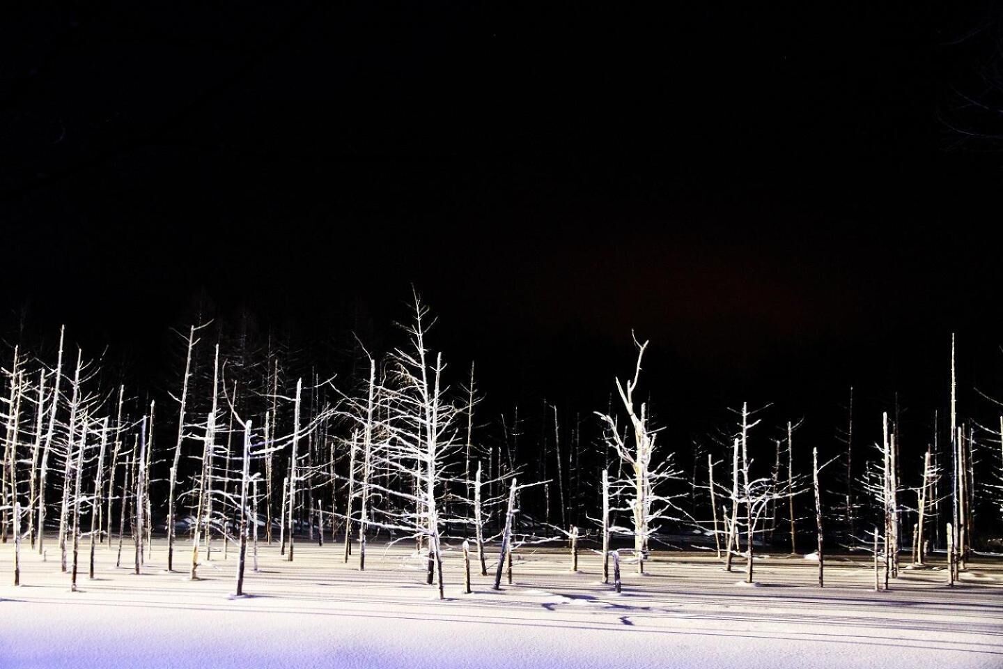 A snow-covered landscape with bare trees and a dark sky.