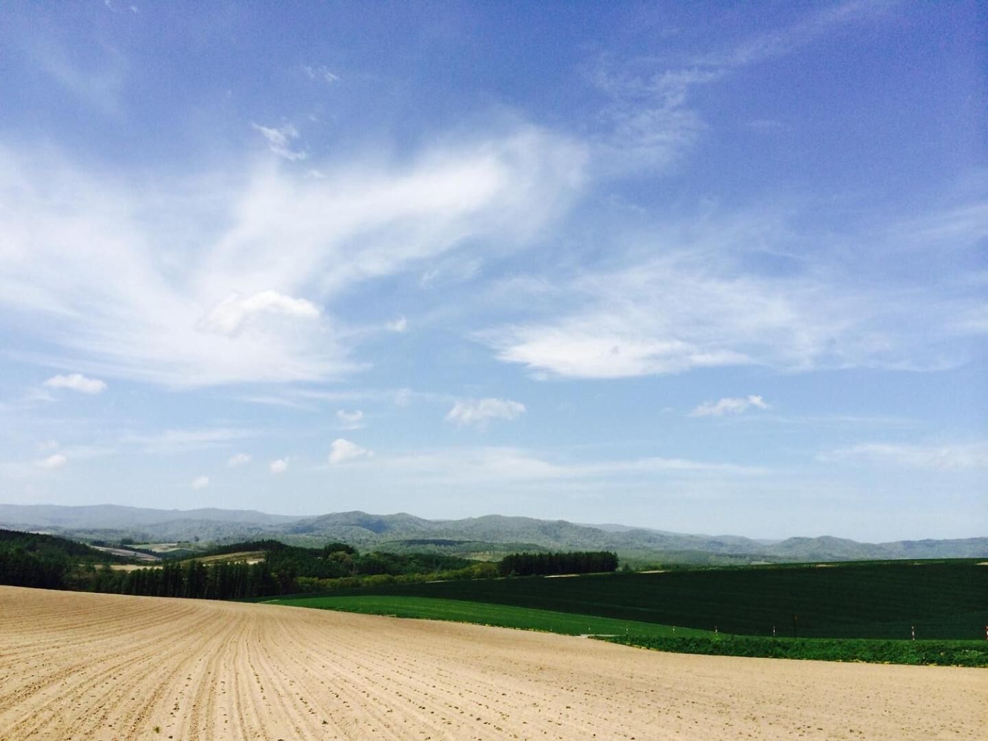 A vast, open field with a clear sky and distant mountains.