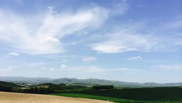 A vast, open field with a clear sky and distant mountains.