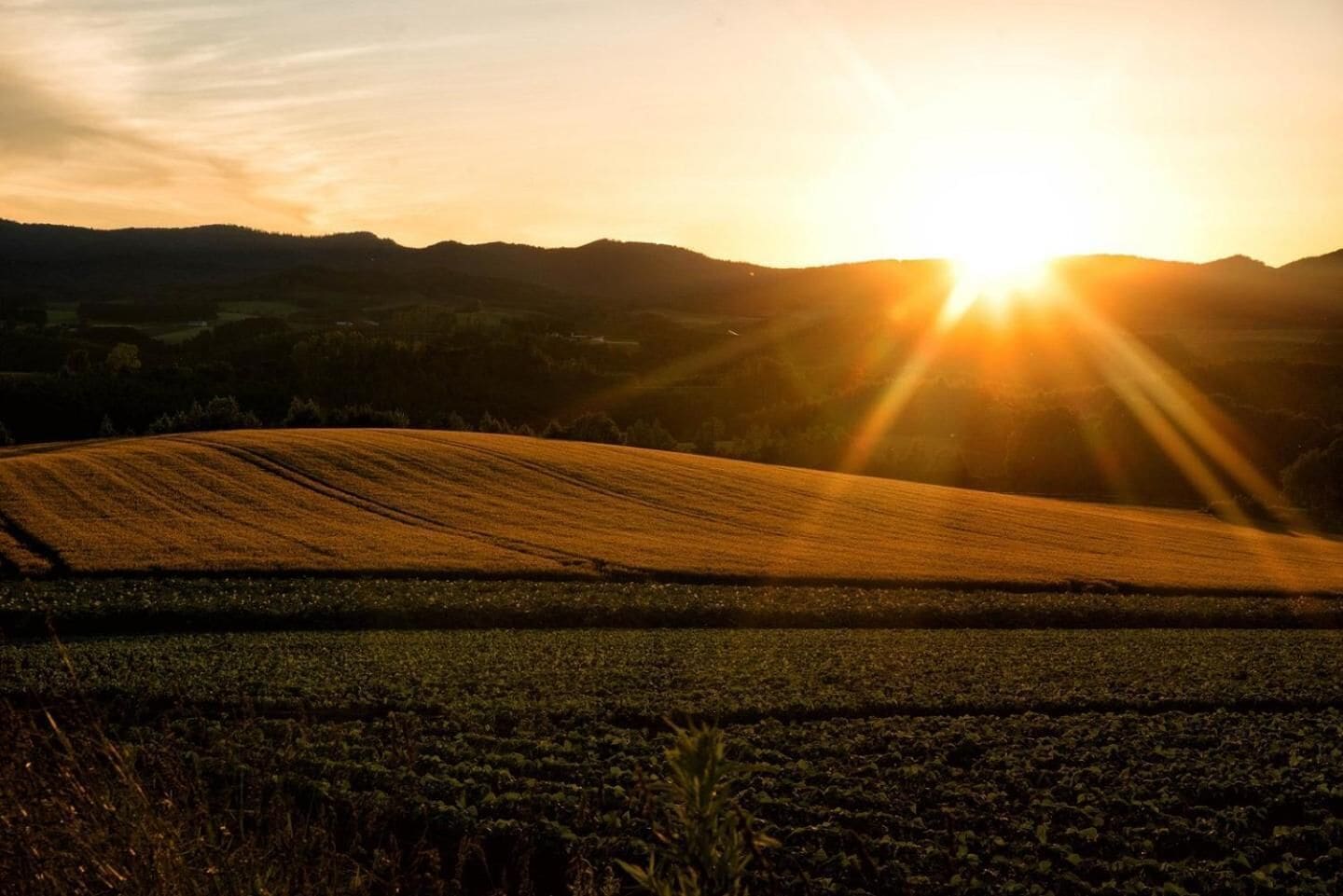 A sunset over a hilly landscape with fields.