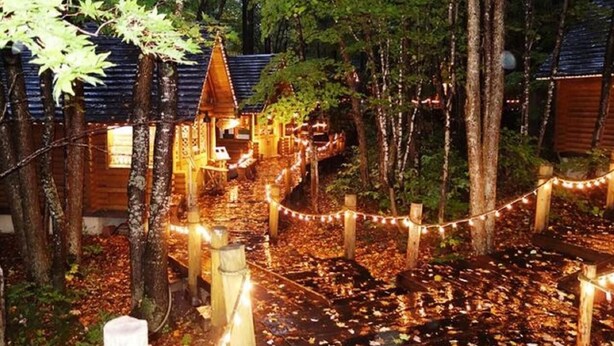 Een bebost gebied met houten huisjes en een pad verlicht met lichtslingers.