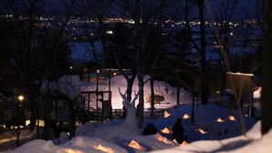 Een besneeerd landschap met een brug op de achtergrond en een gebied met sneeuw, een hek en bomen op de voorgrond.