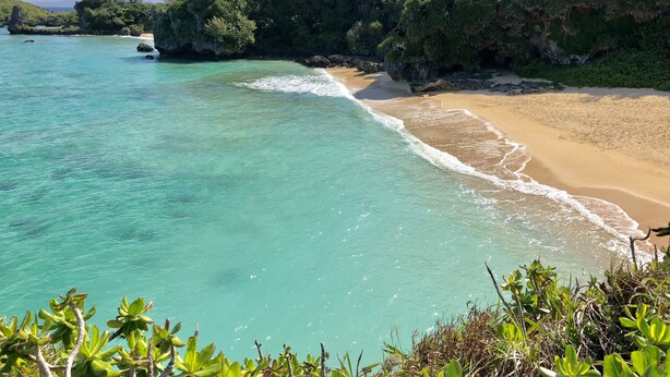 Une plage à l’eau turquoise et limpide, bordée d’un rivage sablonneux et d’une végétation luxuriante.
