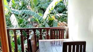 Une table à manger en bois, des chaises, un sol carrelé et une vue sur une végétation luxuriante, visible à travers une porte vitrée.