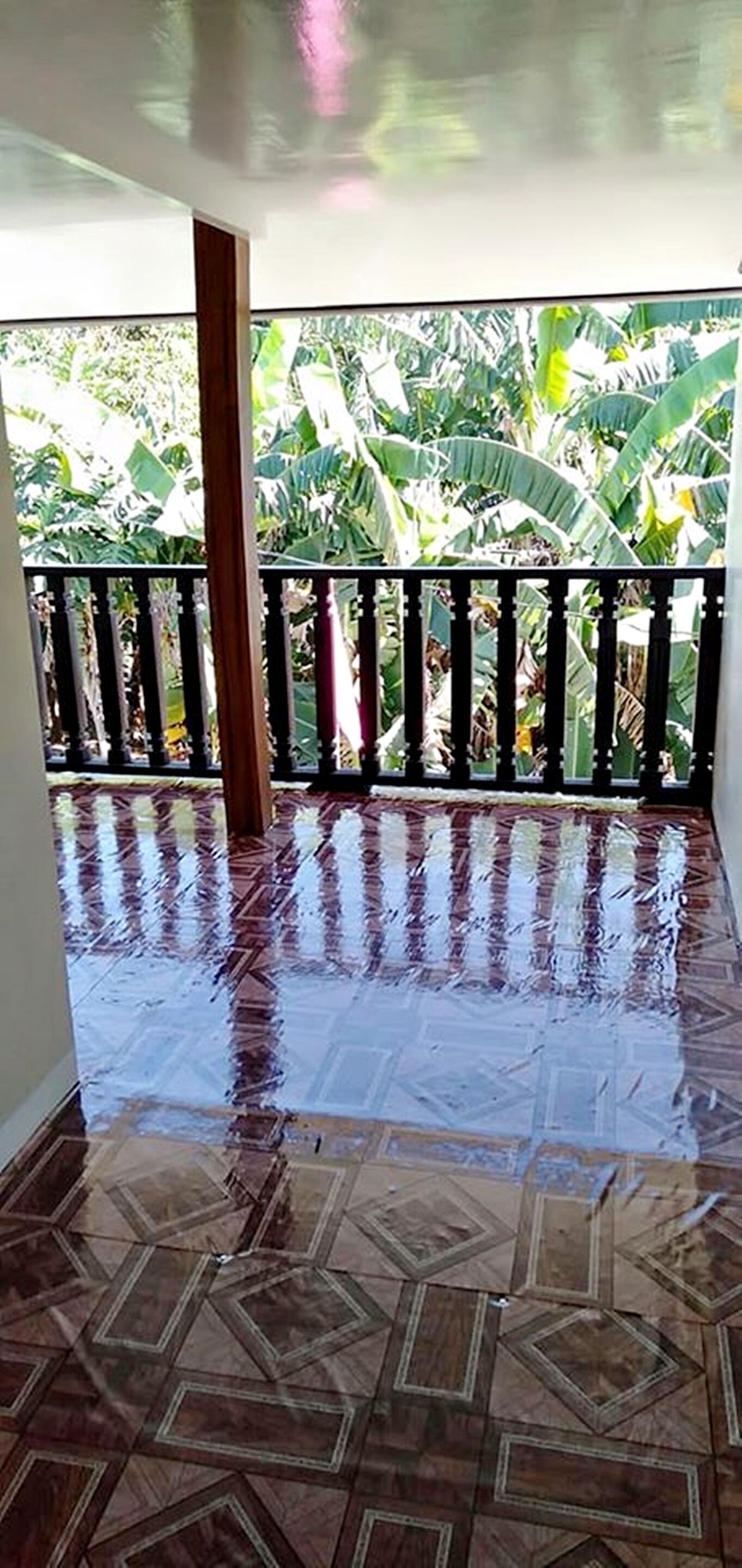 テラス / パティオ