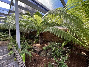 Property grounds - Ocean Grove Getaway - Holiday Home (Ocean Grove)