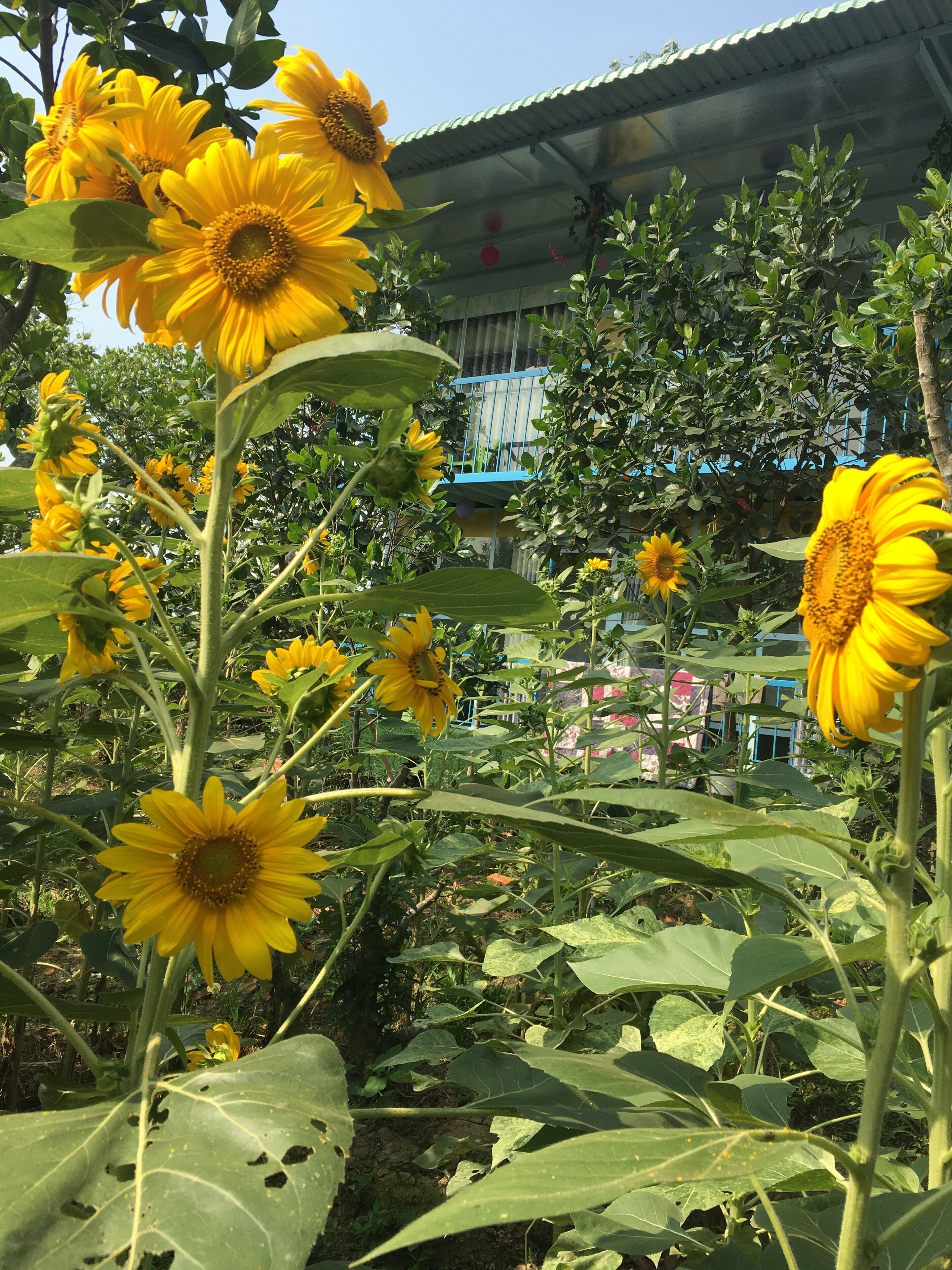 ห้องเบสิกพักรวม | บริเวณนั่งเล่น | ทีวีจอแ  บน