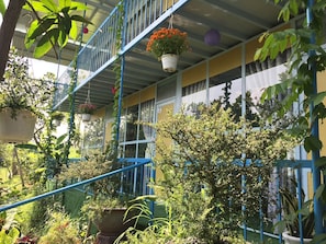 Un balcón con plantas en macetas y barandilla azul.