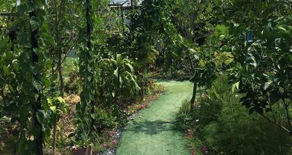 Thu Huynh Homestay - Hostel