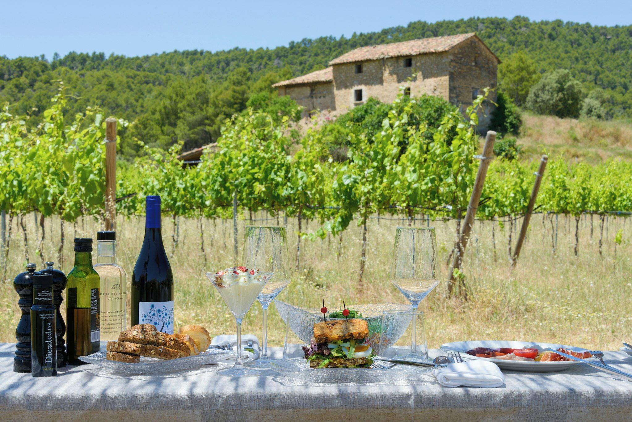 A picnic setup with food, drinks, and a vineyard in the background.