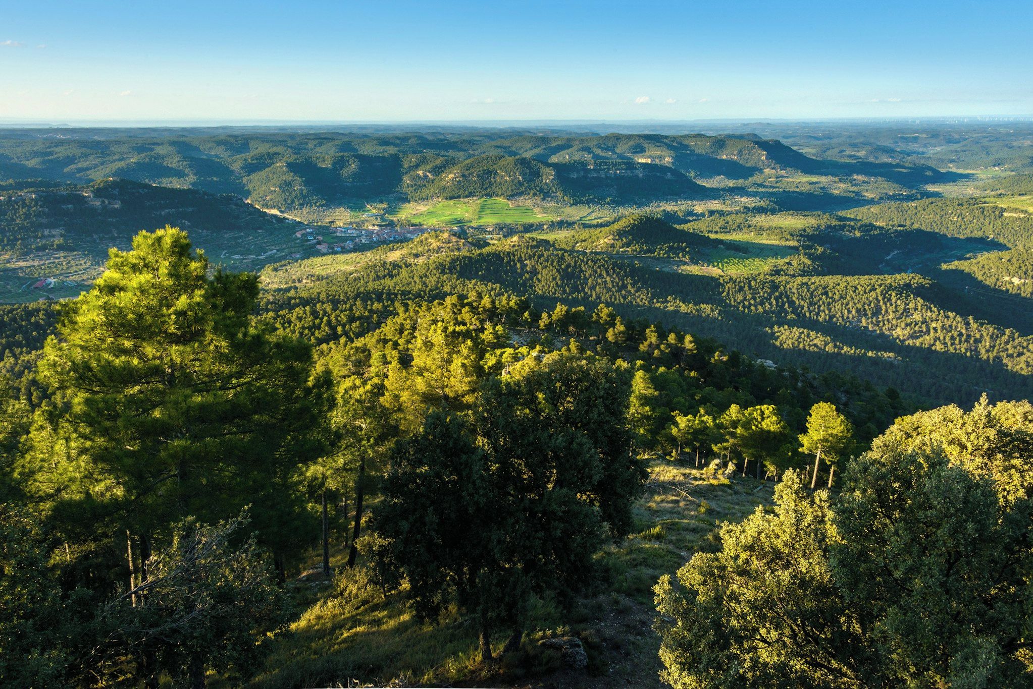 Un paisaje montañoso con bosques densos y un valle.