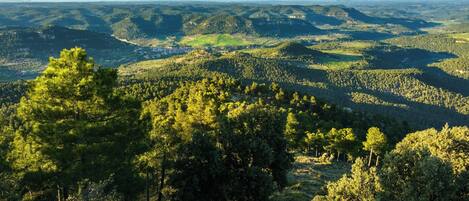 Un paisaje montañoso con bosques densos y un valle.
