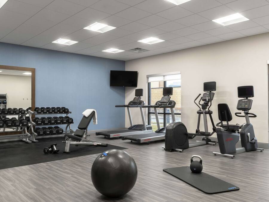 A gym with treadmills, elliptical machines, dumbbells, and a large mirror.