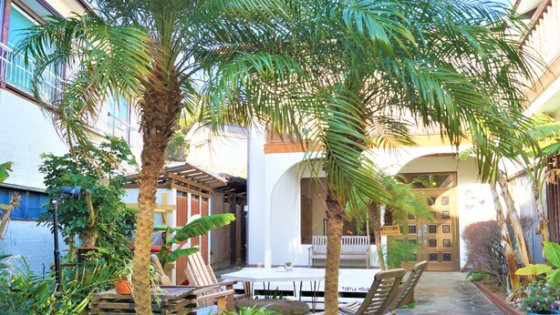 An outdoor patio with a table and chairs, surrounded by potted plants and palm trees. - Resort Pension Turtle House (Shimoda)
