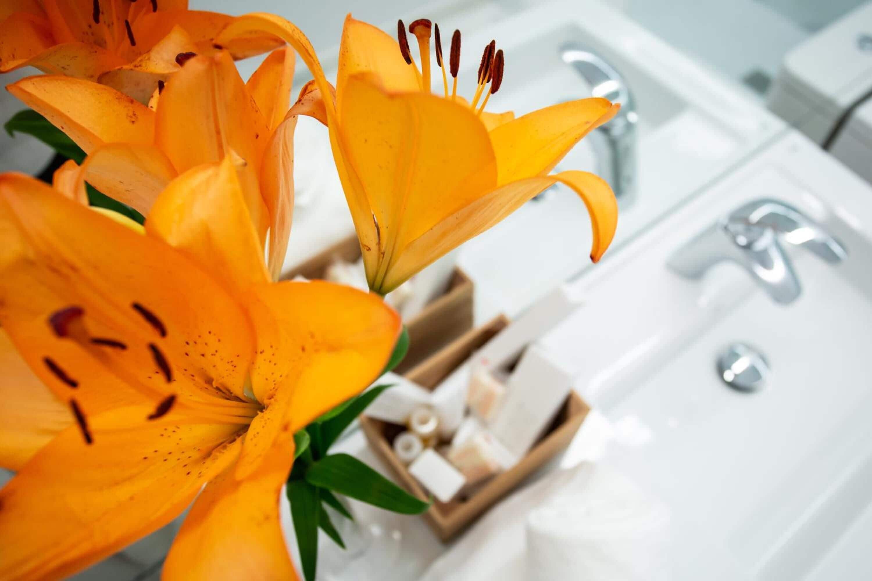 Foto - Plazuela del Carbón Suites