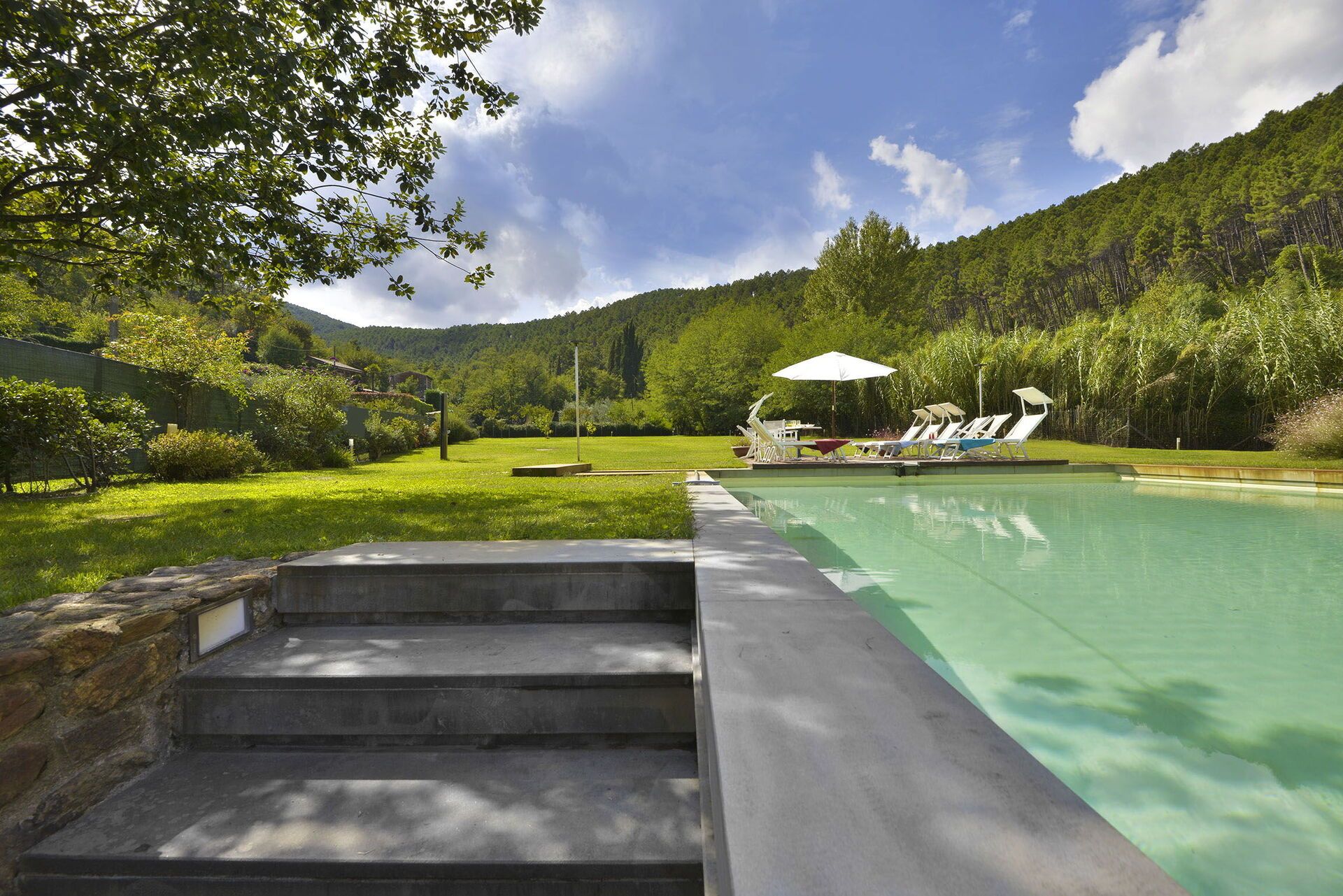 A swimming pool with steps leading up to it, surrounded by lush greenery and a mountain backdrop.