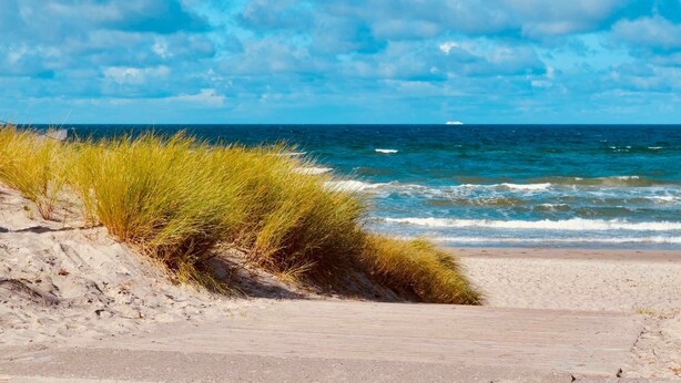 A beach with sand, grass, and the ocean under a partly cloudy sky. - Groyne 10 App No. 26 max 2 pers (+1 child 0-3 years) - 7/26 (Dierhagen)