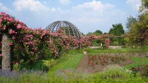 A garden with a glass greenhouse structure surrounded by blooming pink roses and various other plants. - Holiday Inn Express Darmstadt by IHG (Darmstadt)