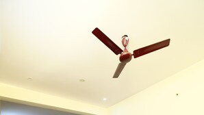 A living room with a wooden coffee table, two sofas, a dining area with chairs, and a ceiling fan.