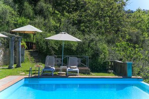 Une piscine avec deux chaises longues et une table, le tout installé sous des parasols et entouré d’une végétation luxuriante.