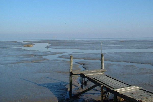 Playa en los alrededores