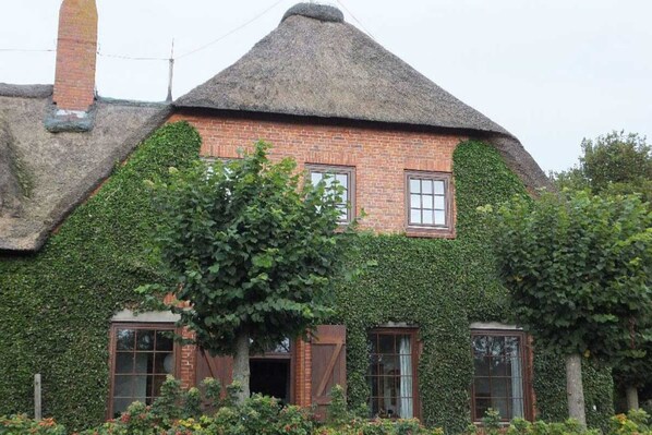 A traditional brick house with a thatched roof, ivy-covered walls, and a small garden with a tree in front. - Old school goting, classroom (Nieblum)