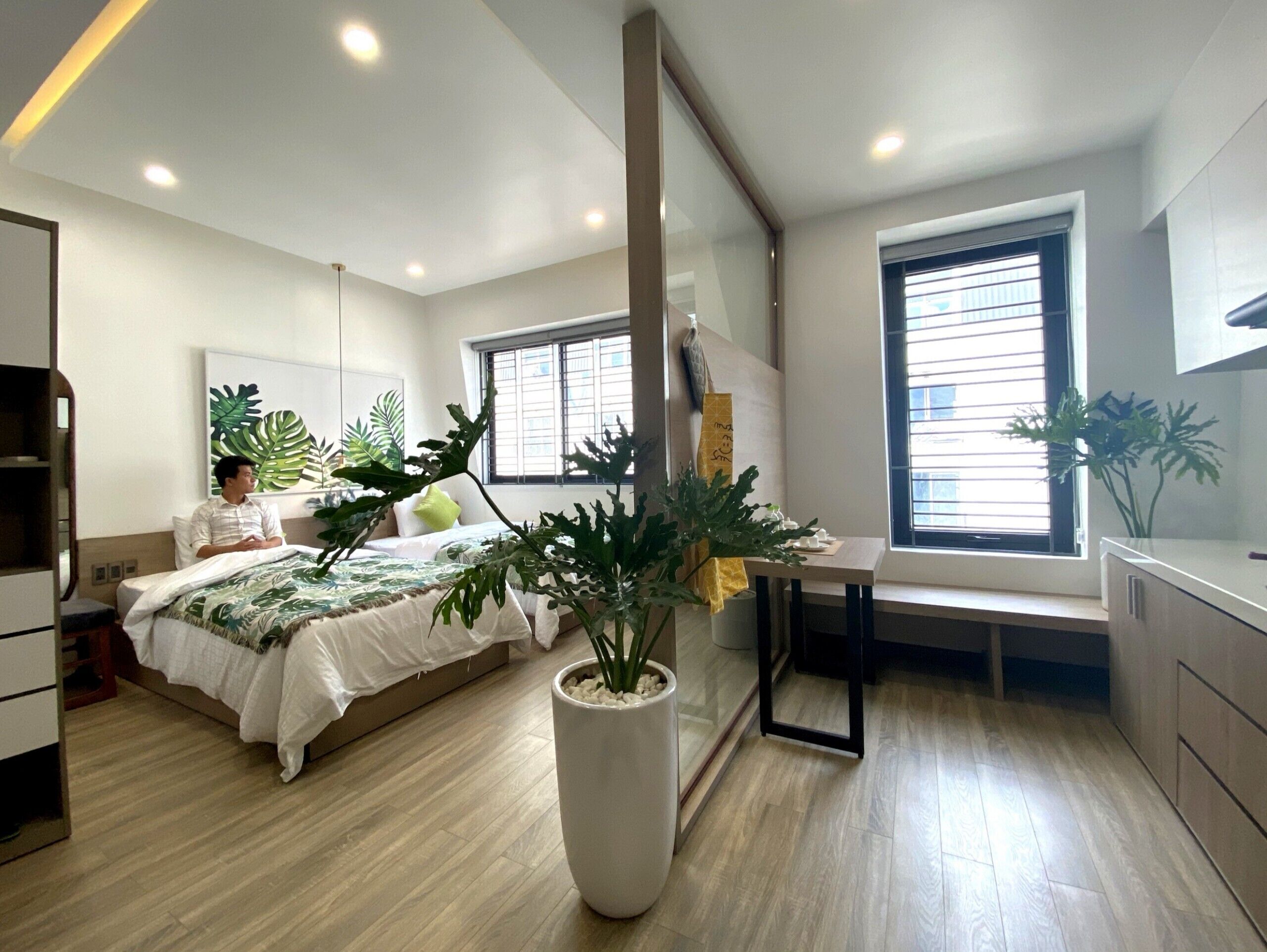 A modern hotel room with a bed, a large potted plant, a desk, and a window with blinds.