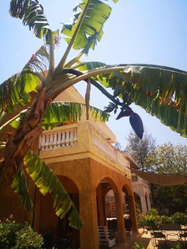 Áreas de la propiedad