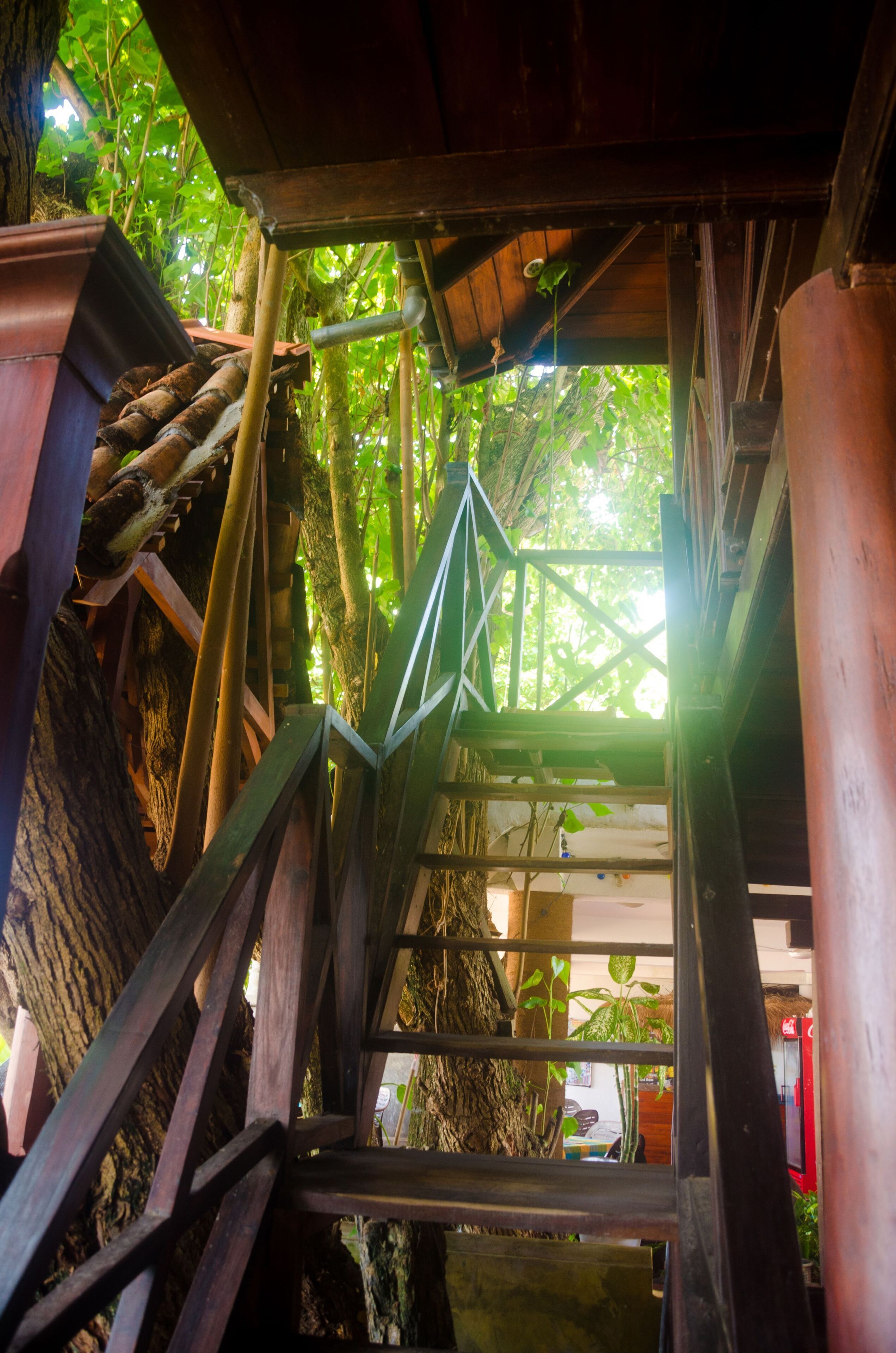 Khuôn viên nơi lưu trú