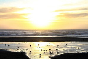 On the beach