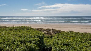 Una playa con olas, una orilla arenosa y densa vegetación en primer plano.