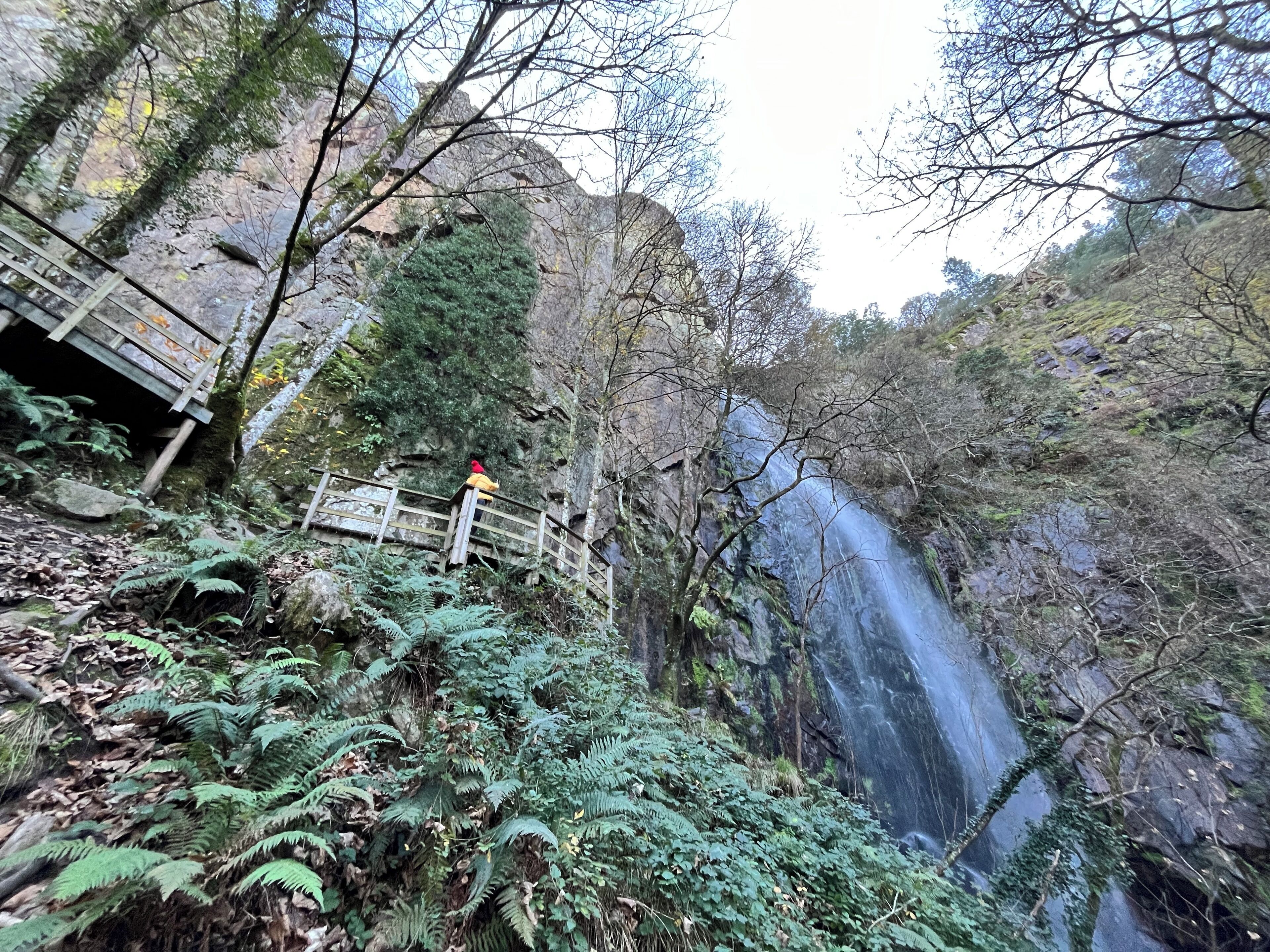 Eksteriør
