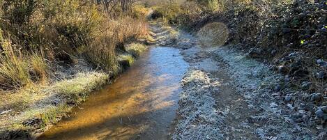 Un paisaje natural con un arroyo, rodeado de árboles y vegetación.
