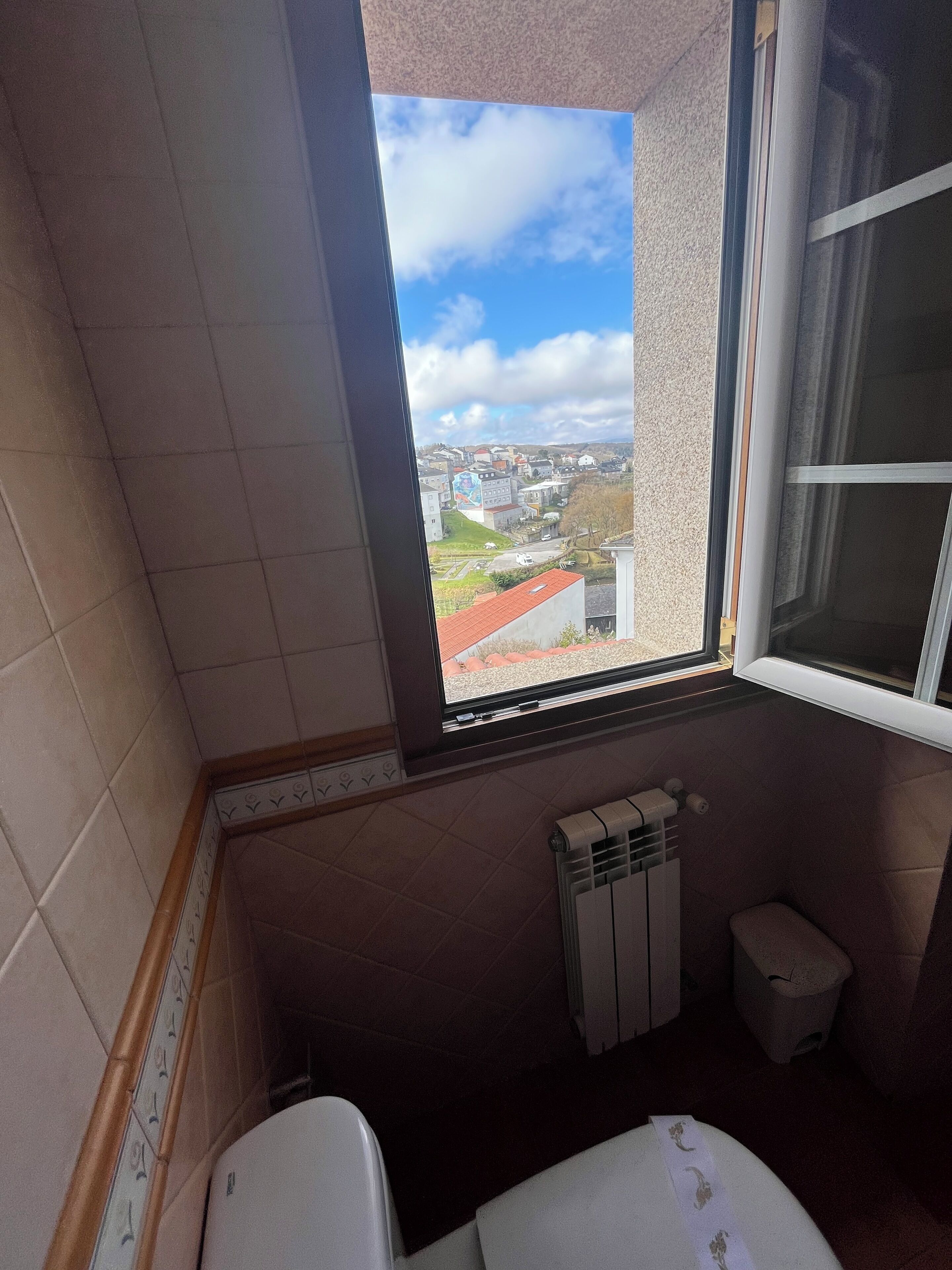 A bathroom with a window, a radiator, and a toilet.