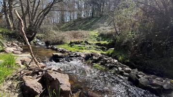 A natural stream flowing through a rocky landscape with trees and grass.