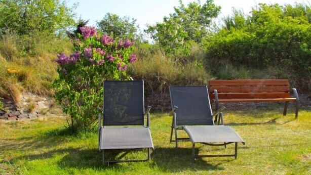 Garden - Ferienwohnungen Riegenhagen (Borkum)