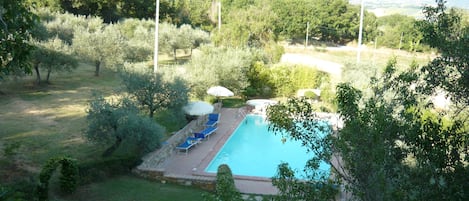 Seasonal outdoor pool, pool umbrellas, sun loungers