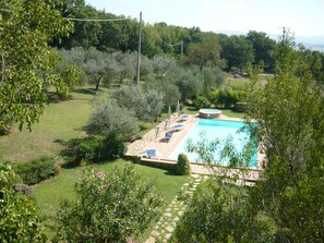 A swimming pool with lounge chairs and a hot tub, surrounded by greenery and trees.