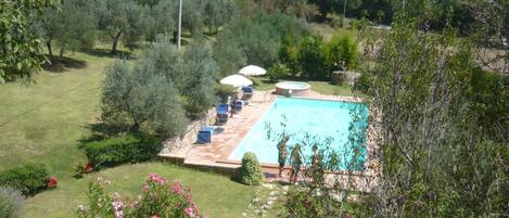 Alberca al aire libre por temporada y sombrillas en la alberca