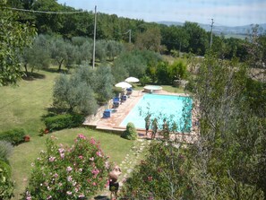 Une piscine entourée d’un jardin avec une pelouse et des arbres.