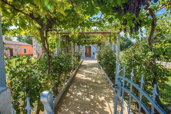 House | Property grounds