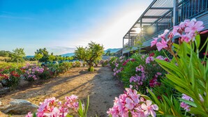 Ein Weg, gesäumt von rosa Blüten, führt zu einem Gebäude mit Metallkonstruktion, in dessen Nähe ein Auto geparkt ist.