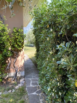 Detalle exterior