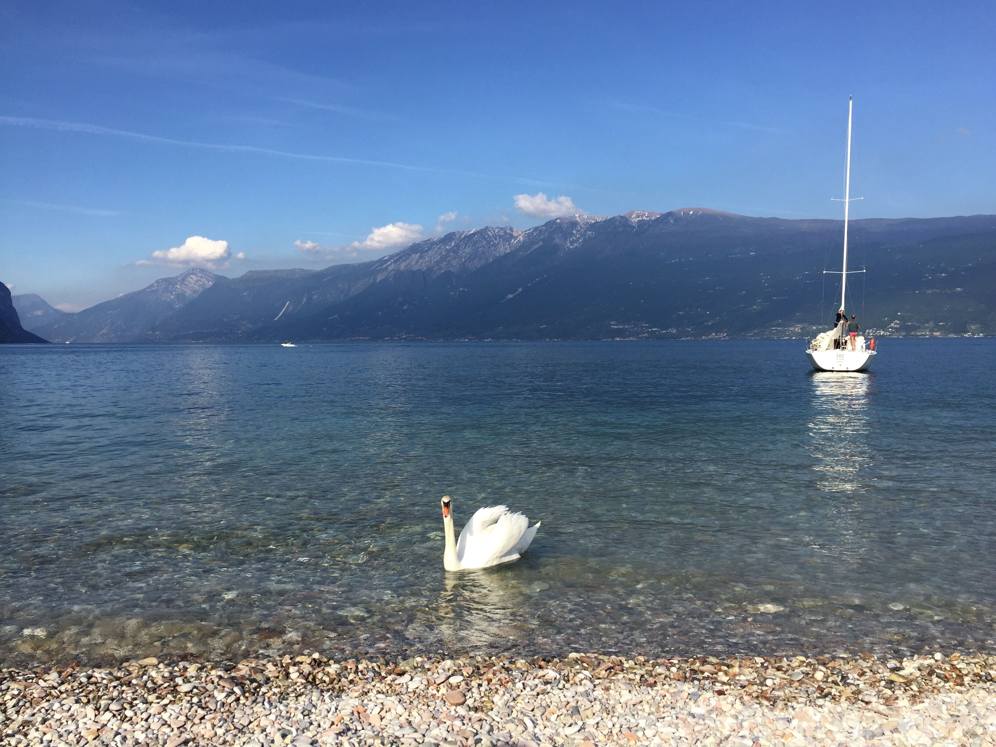 On the beach, sun-loungers