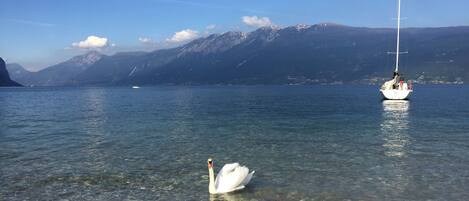 On the beach, sun-loungers