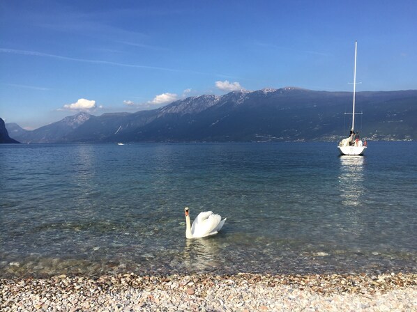 Am Strand, Liegestühle
