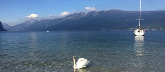 Gorgeous 9-seater villa, perfect for families with large garden by the lake