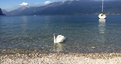 Prächtige Villa für 9 Personen, ideal für Familien mit großem Garten am See