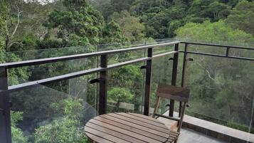 豪華套房 | 露台/庭院