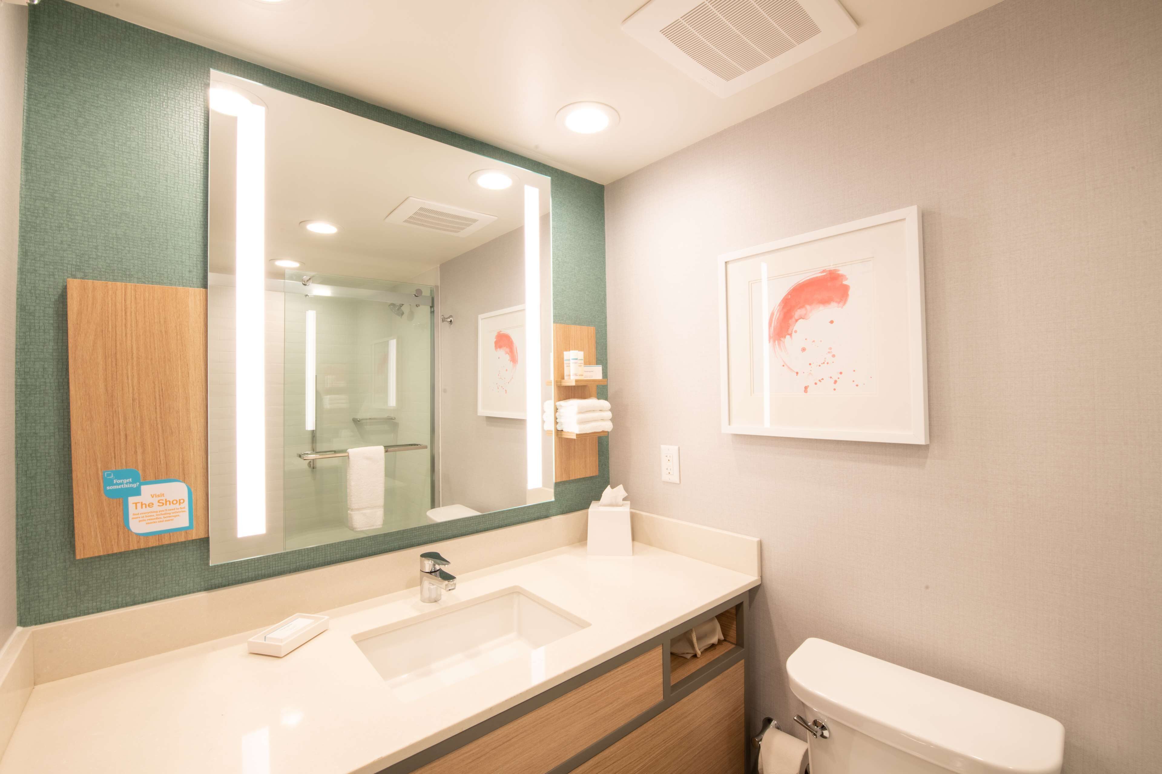 A bathroom with a large mirror, a sink, a toilet, and a framed artwork on the wall.